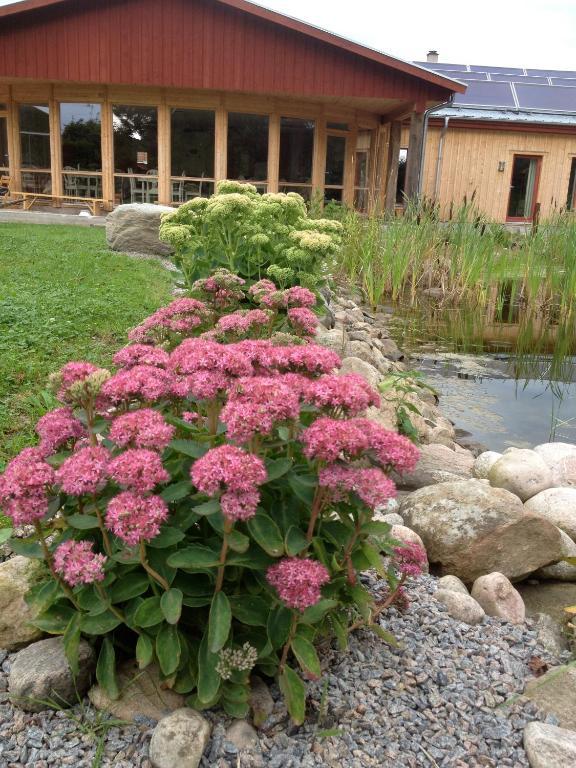 Kontakta Liselotte Abel Bed & Breakfast Vessigebro Eksteriør bilde