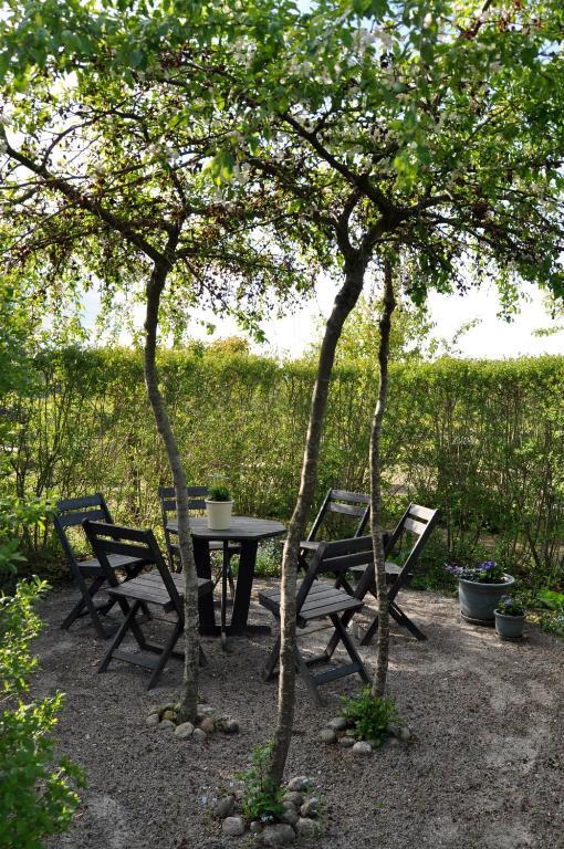 Kontakta Liselotte Abel Bed & Breakfast Vessigebro Eksteriør bilde